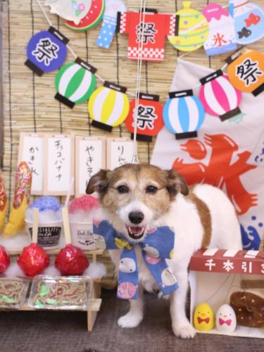 20240723こはるちゃん